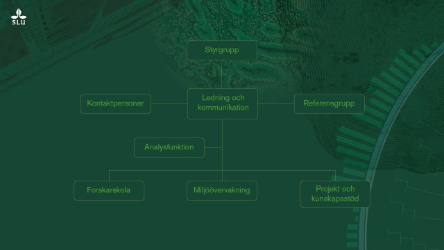 Organisationsschema