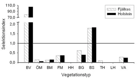 Figur selektionsindex för fjällkor och holsteinkor för olika vegetationstyper på fäbodbete. Stapeldiagram.