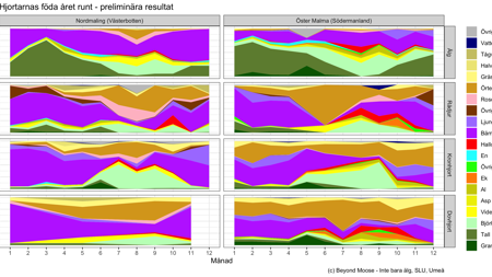 Figur som visar vad fyra olika hjortarter ätit under ett år.