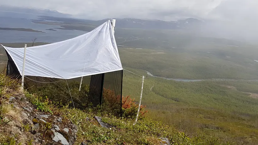 Tältliknande insektsfälla står i slänt med dal och fjällandskap i bakgrunden. Foto