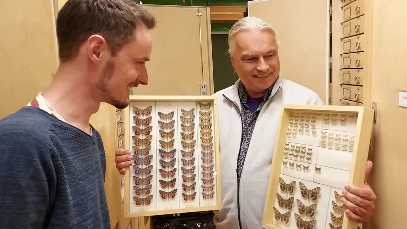 Två män, varav den ene håller upp två tavelramar med torkade exemplar av fjärilar. Foto