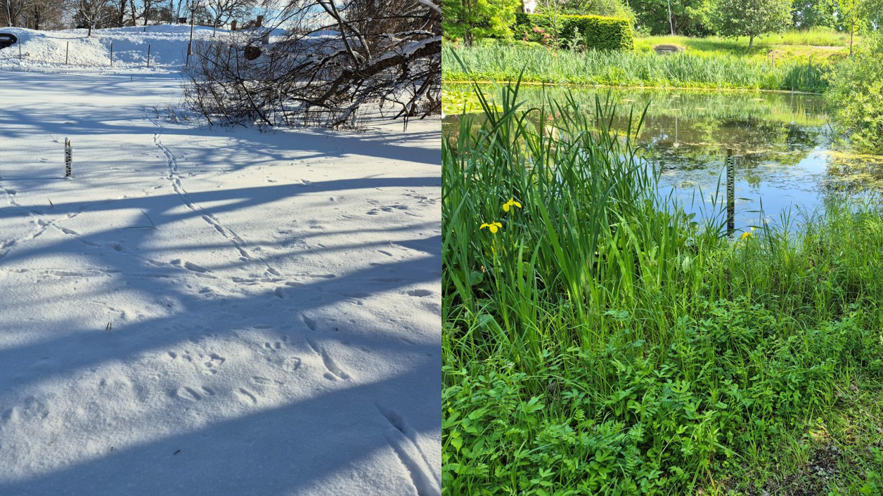 Två foton av Ullbodammen