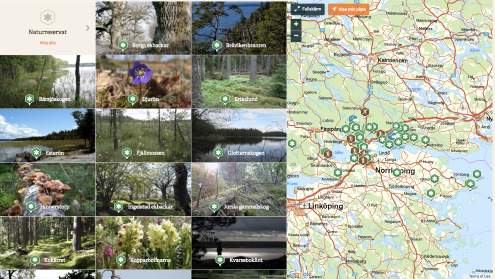 Bilder från Naturkartan. Bilder: Kristofer Björkman