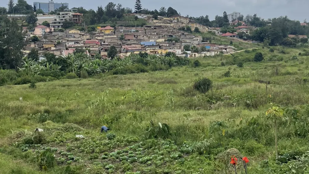 Fält i Rwanda. Foto: Karolin Andersson