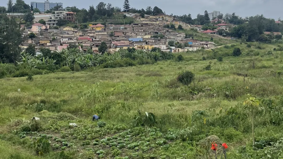Fält i Rwanda. Foto: Karolin Andersson