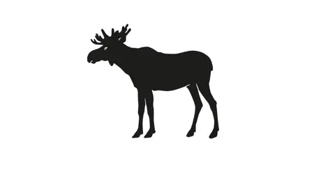 Black silhouette of a moose