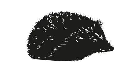 A black silhouette of a hedgehog.