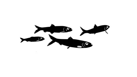 Black silhouette of four herrings.