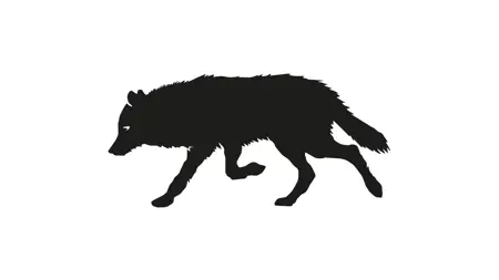 Black silhouette of a wolf.