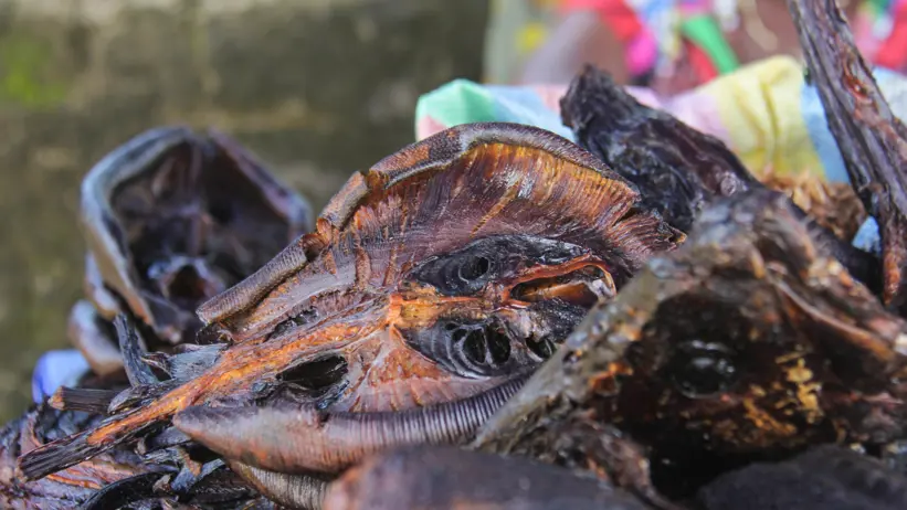 Smoked ray