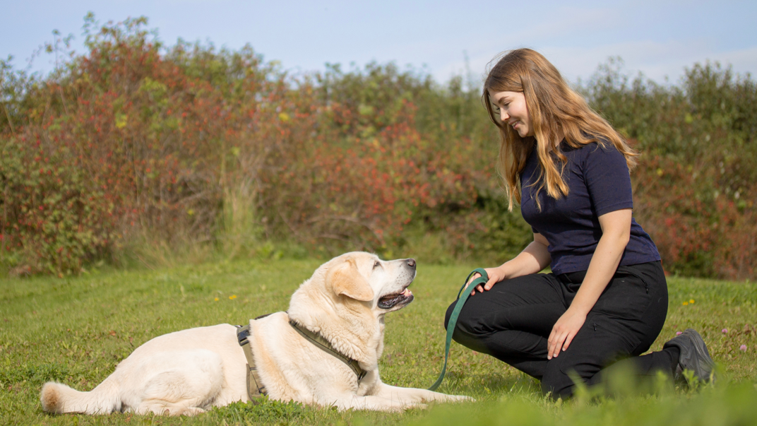 Dog and woman sitting down on a lawn.