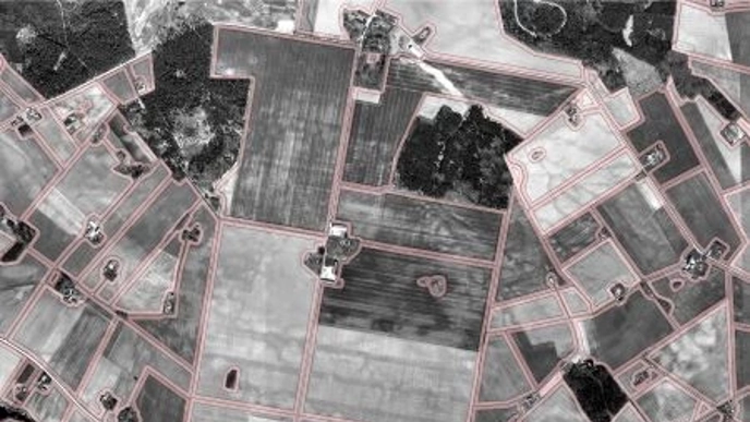 Mer än en fjärdedel av Sveriges åkermark finns inom 20 meter från en fältkant. Foto: GSD-Ortofoto, 1m PAN © Lantmäteriet (2024).