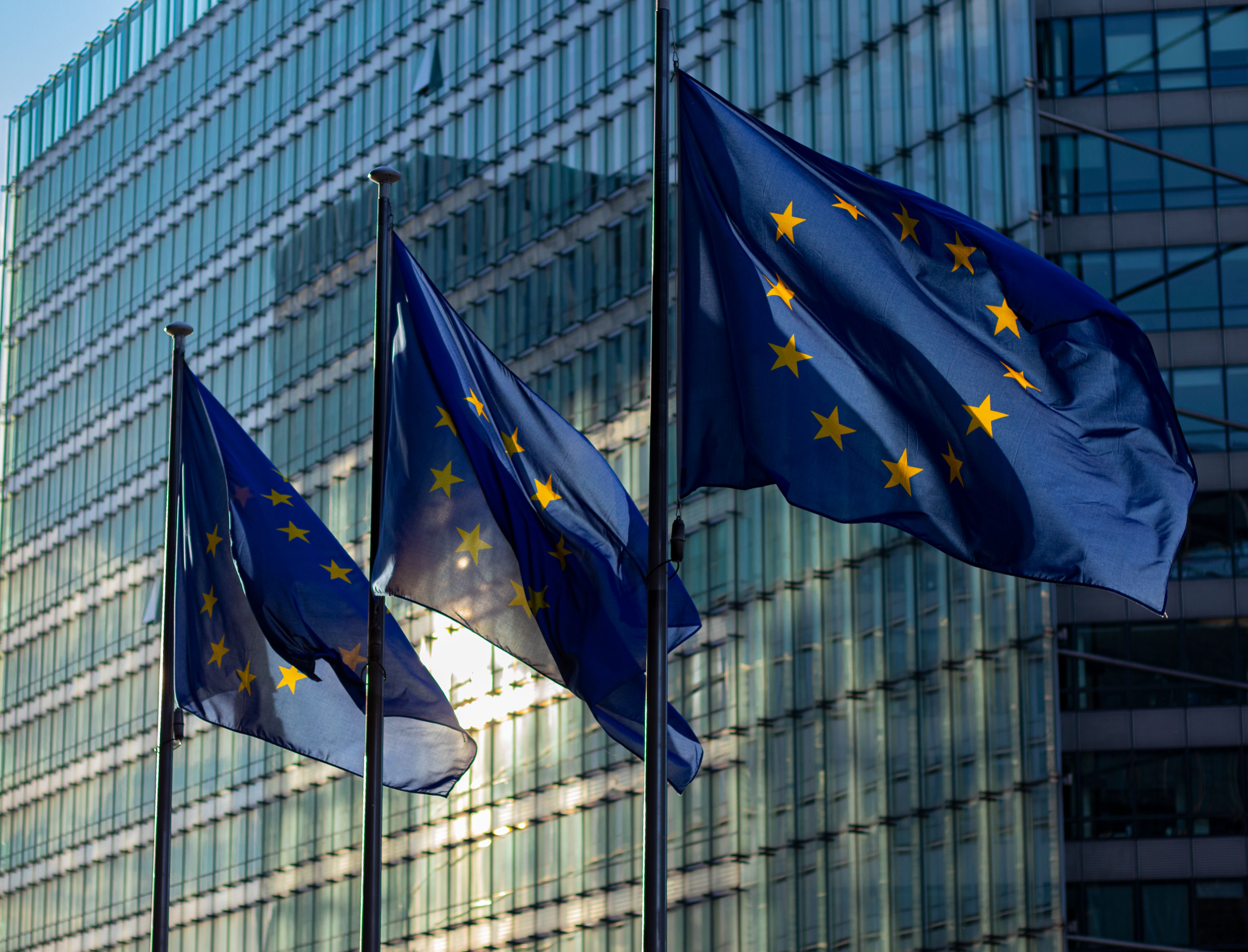 Photo of EU flags.