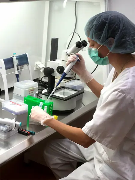 Reseacher working in the lab. Photo.