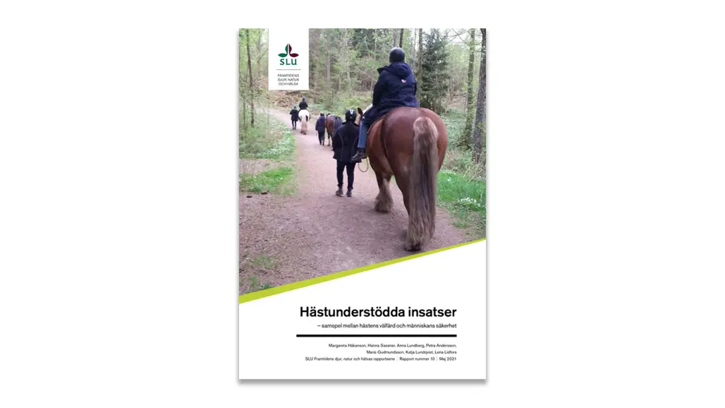 Rapportomslag. Bild.