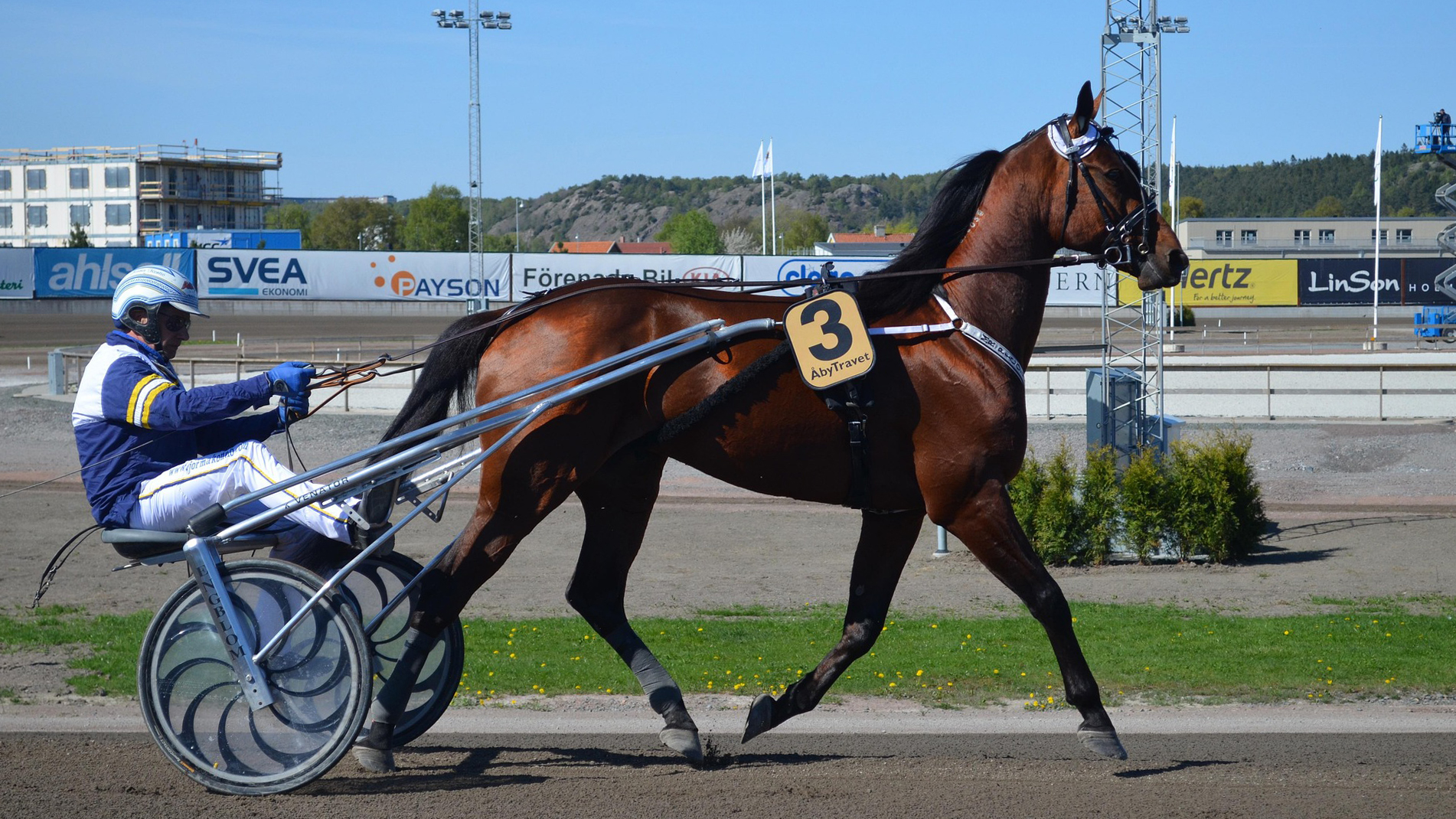 Foto av en travhäst som springer framför kusk och sulky på travbana utomhus.