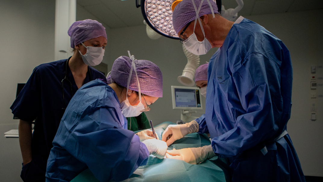 People wearing blue protective clothing and face masks, performing an operation.