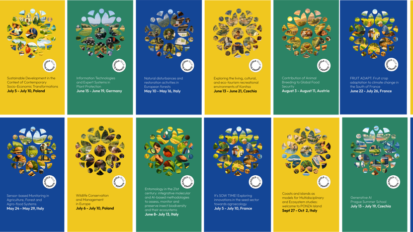 Kollage över ELLS summer courser