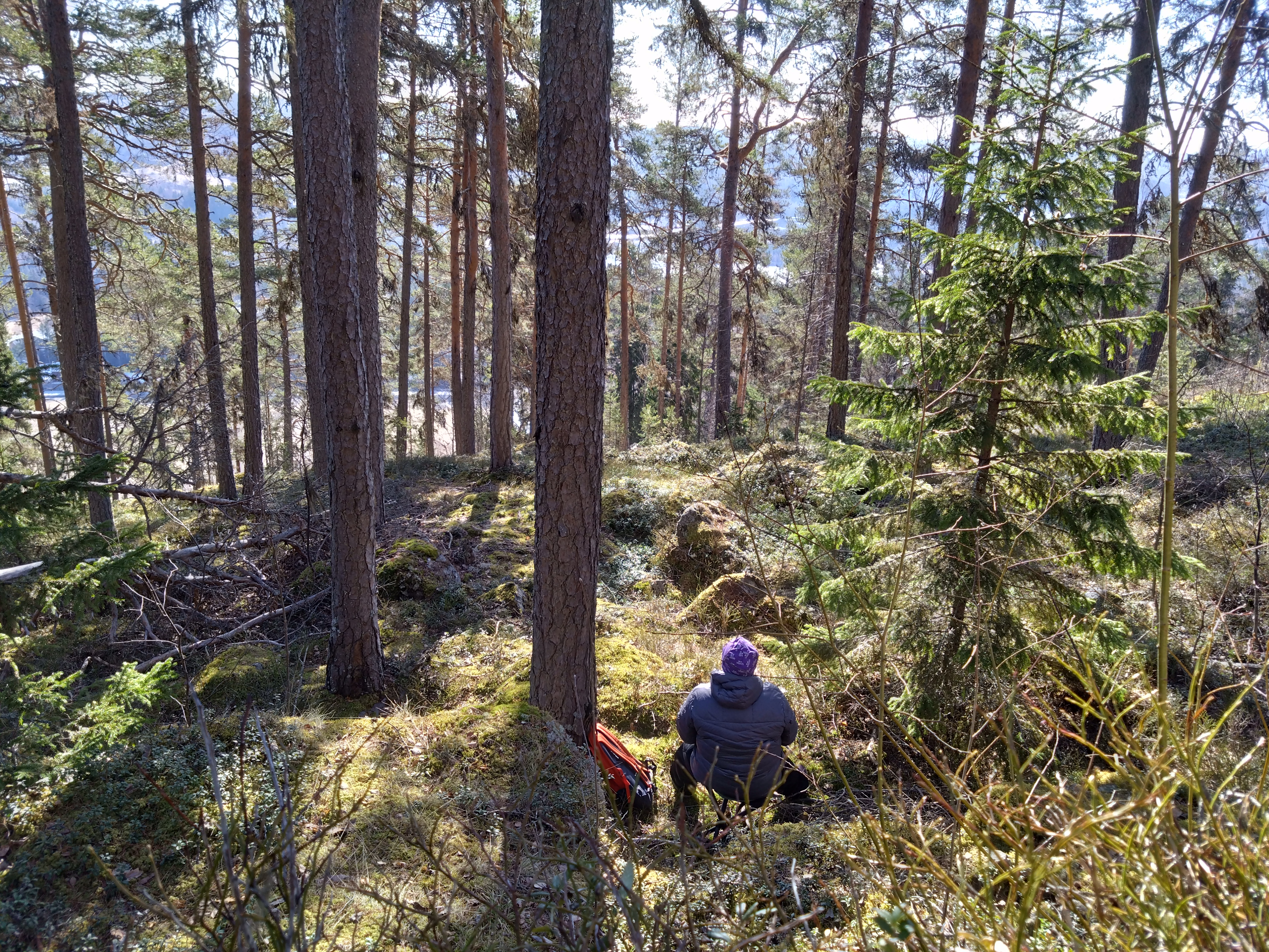 Skogsbad med vy från Österåsen