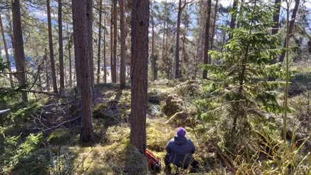 Skogsbad med vy från Österåsen