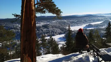 Skogsbad med vy från Österåsen