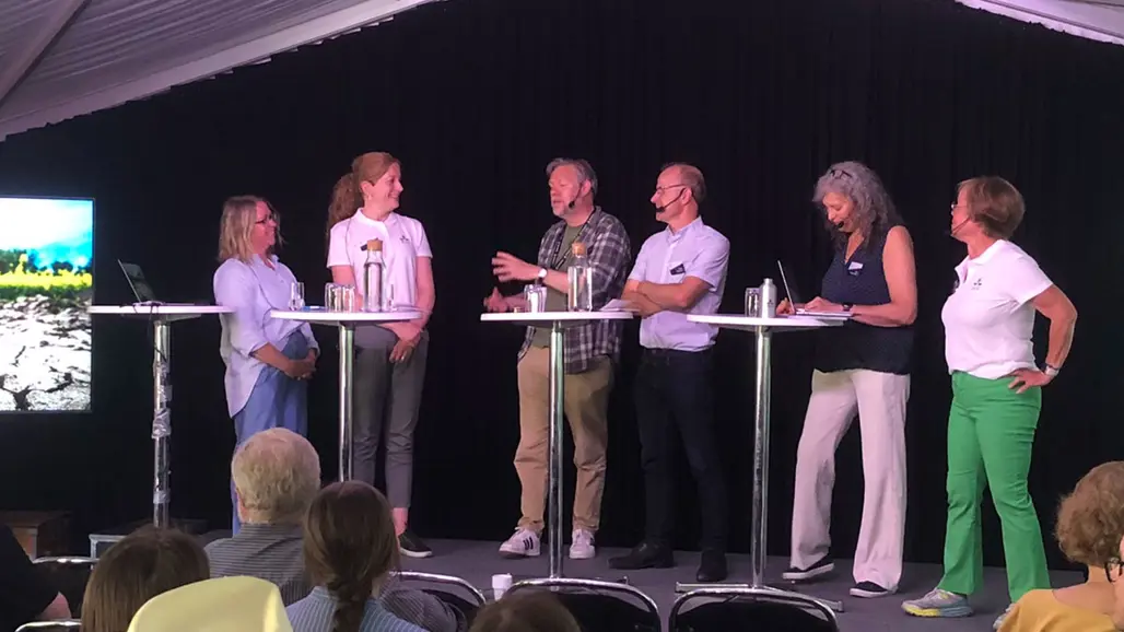 Panelsamtal i Almedalen 2024. Sex personer står på en scen. Foto.