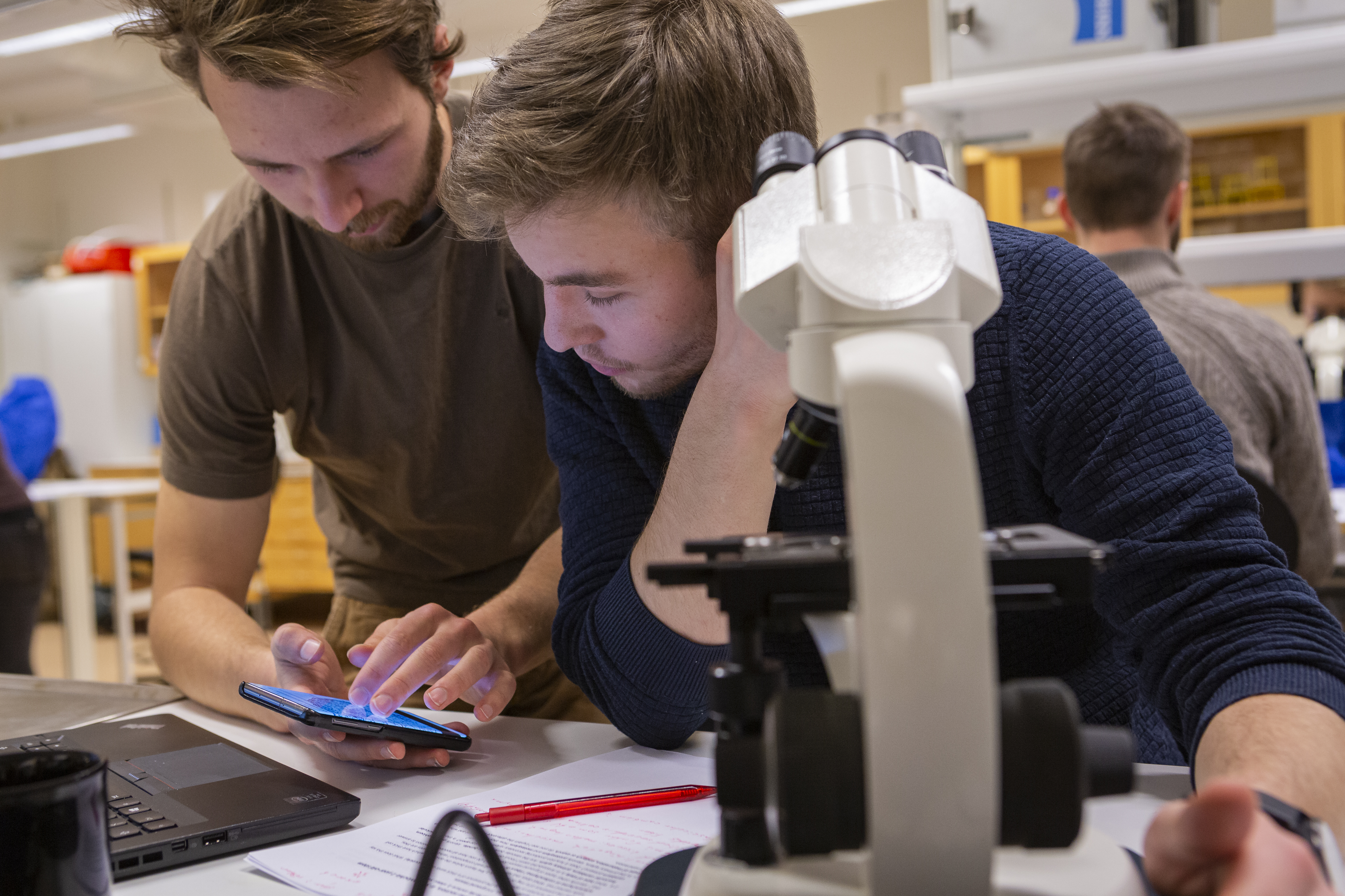Students using a microscope