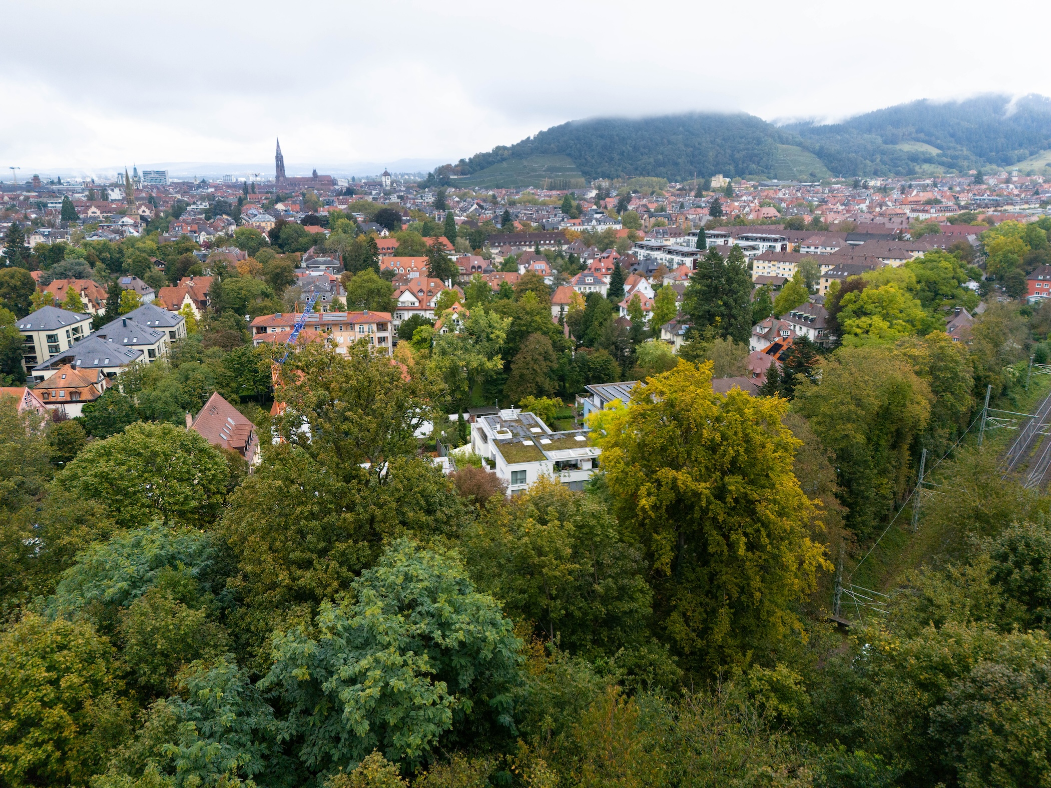 stad omringad av skog