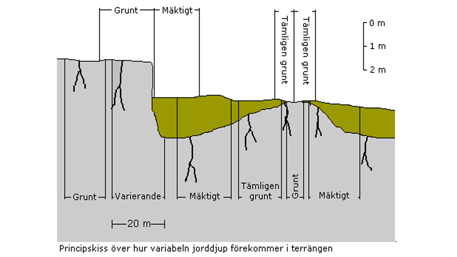 Principskiss över hur variabeln jorddjup förekommer i terrängen