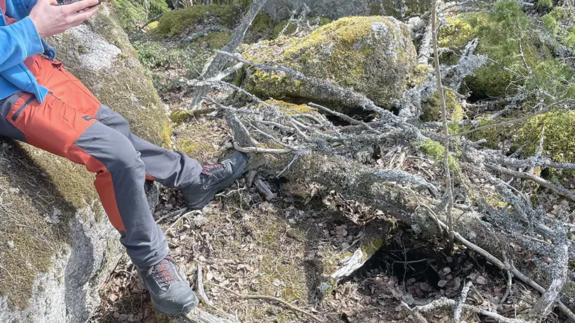 En person med blå jacka och röda byxor sitter på en stor mossbeklädd sten i ett skogsområde. Personen håller i och tittar på en smartphone. Marken runt stenen är täckt av fallna grenar, löv och annat naturligt material. I bakgrunden syns fler stenar, träd och grönska. Foto.