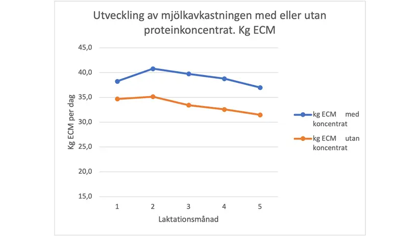 Utvecklingen av mjölkavkastningen (kg ECM) under första halvan av laktationen under stallsäsongen 2022–2023. Medelvärdet på 8 ekologiska mjölkgårdar. Två kurvor, båda ökar mellan månad 1 och 2 för att sedan dala nedåt mot månad 5. Kurvan utan koncentrat ligger ca 5 kg under kurvan med koncentrat.