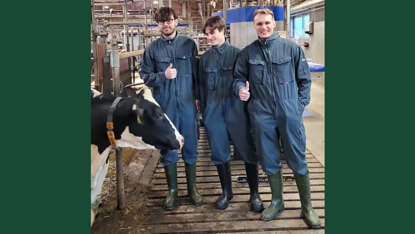 Photo of students lined up in cowshed with dairy cows.
