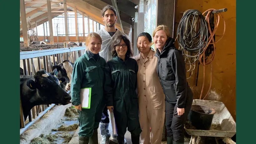 Photo of several people standing in front of the camera in a cowshed with dairy cows.