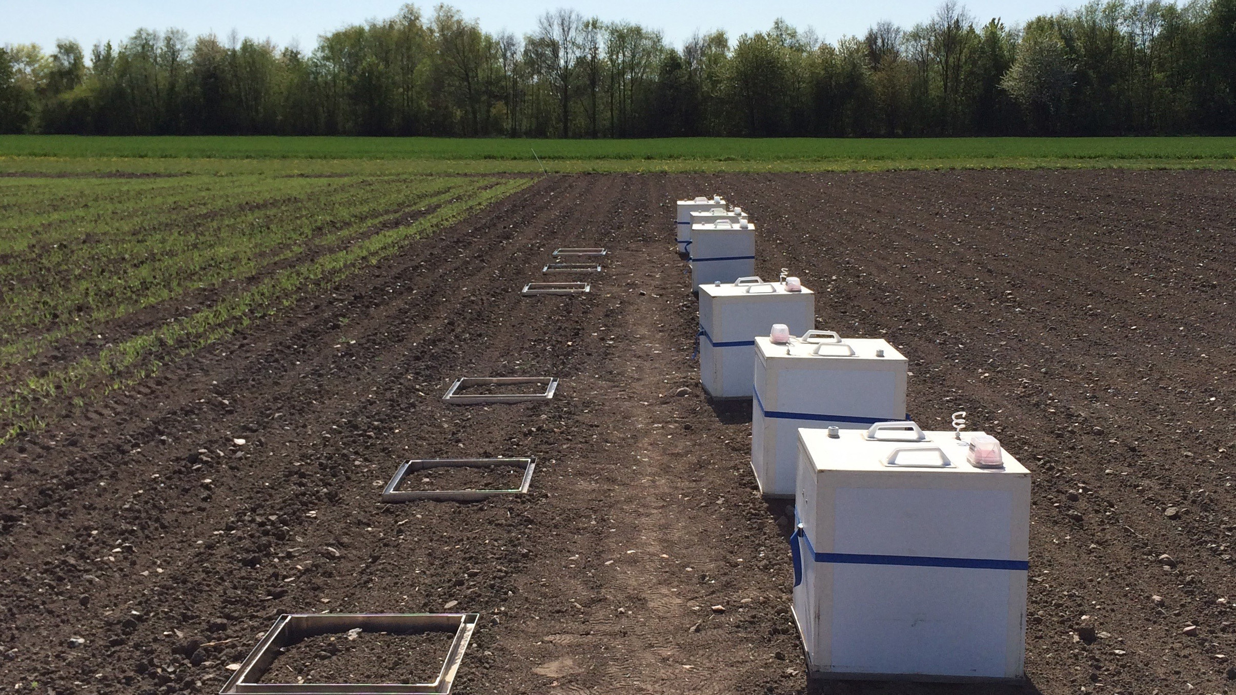 Vita lådor på plöjd åker