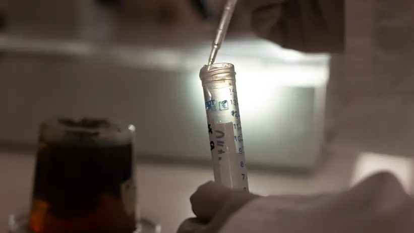 Photo of a test tube containing sheep feces, photographed from inside a laboratory.