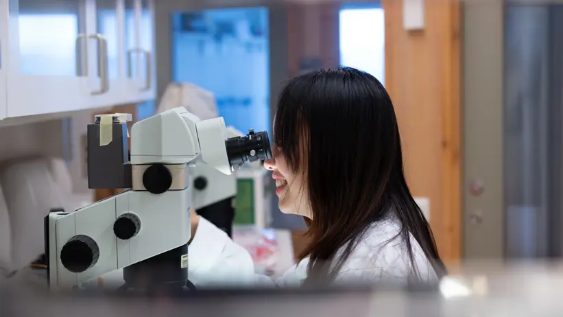 Photo of a woman (Nanxing Liu, SLU) sitting in the lab by a microscope.