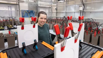 Forskare i växthus med växtexperiment.