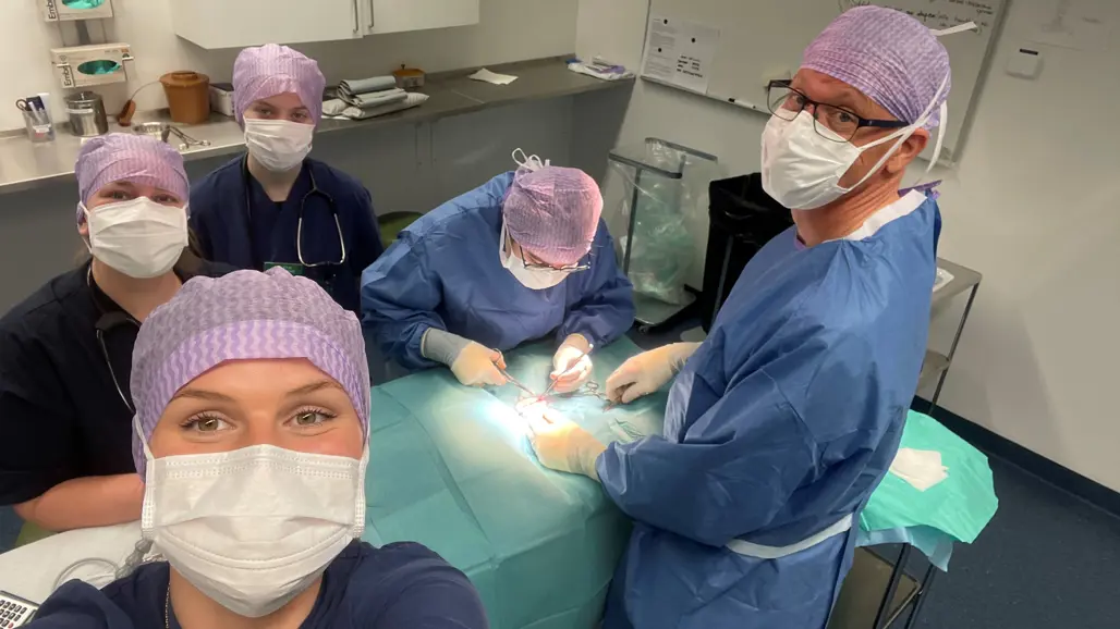 A group of people in surgical gowns and face masks work at an operating table. Photo