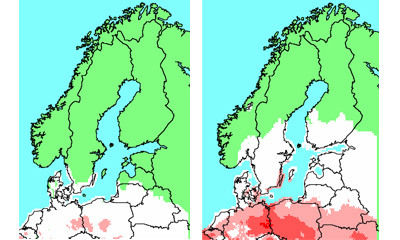 kartor ekoklimatiskt index Sphaeorpsis sapinea