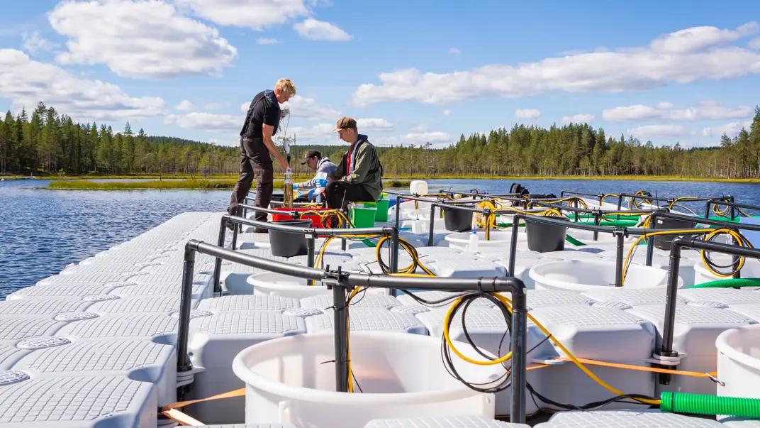 Three people working with water sampling on a floating platform made of plastic, in a lake.