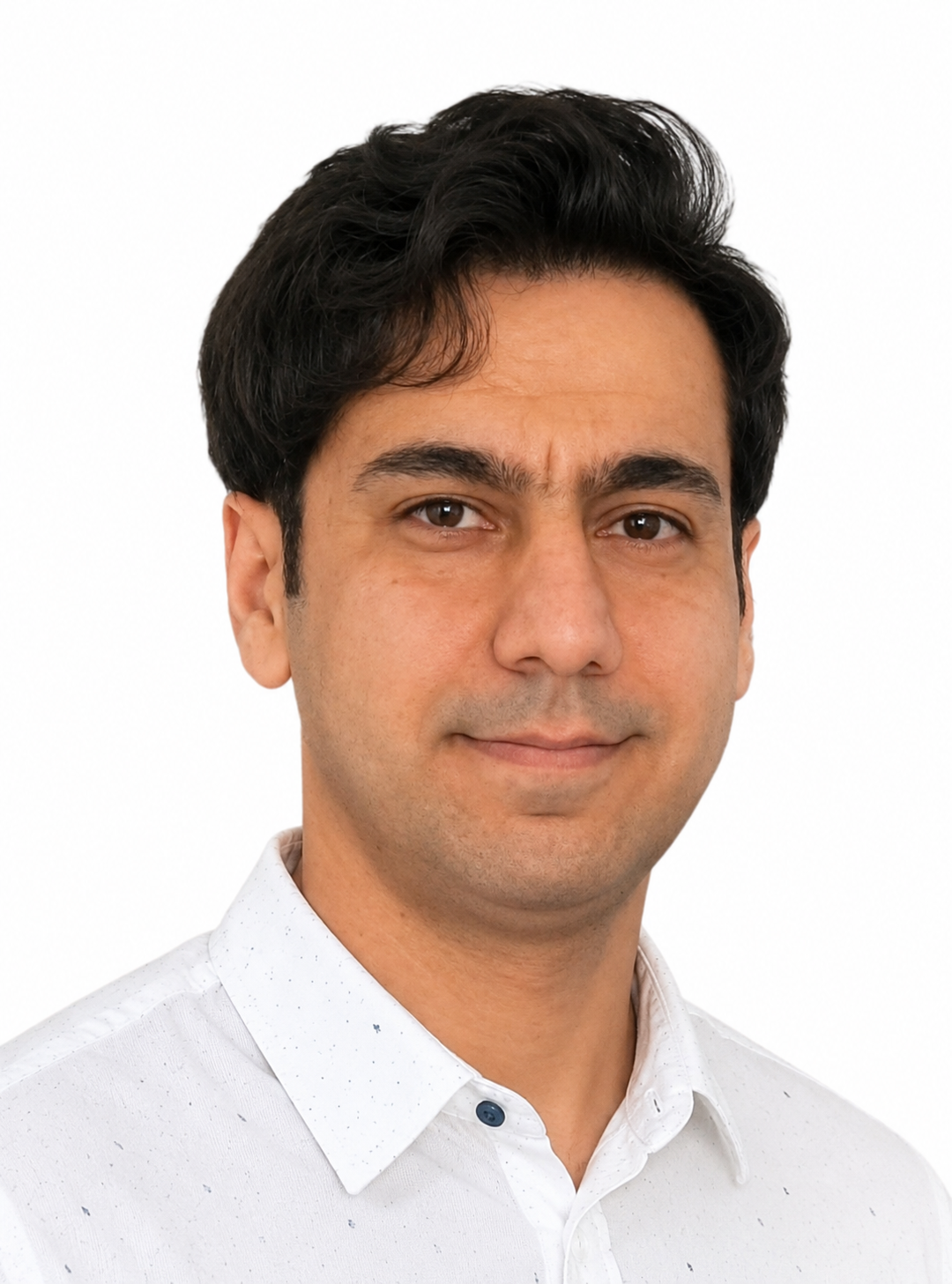 Portrait photo of Javad Mottaghipisheh