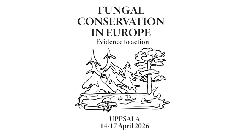 Logotype for Fungal Conservation in Europe: Evidence to action