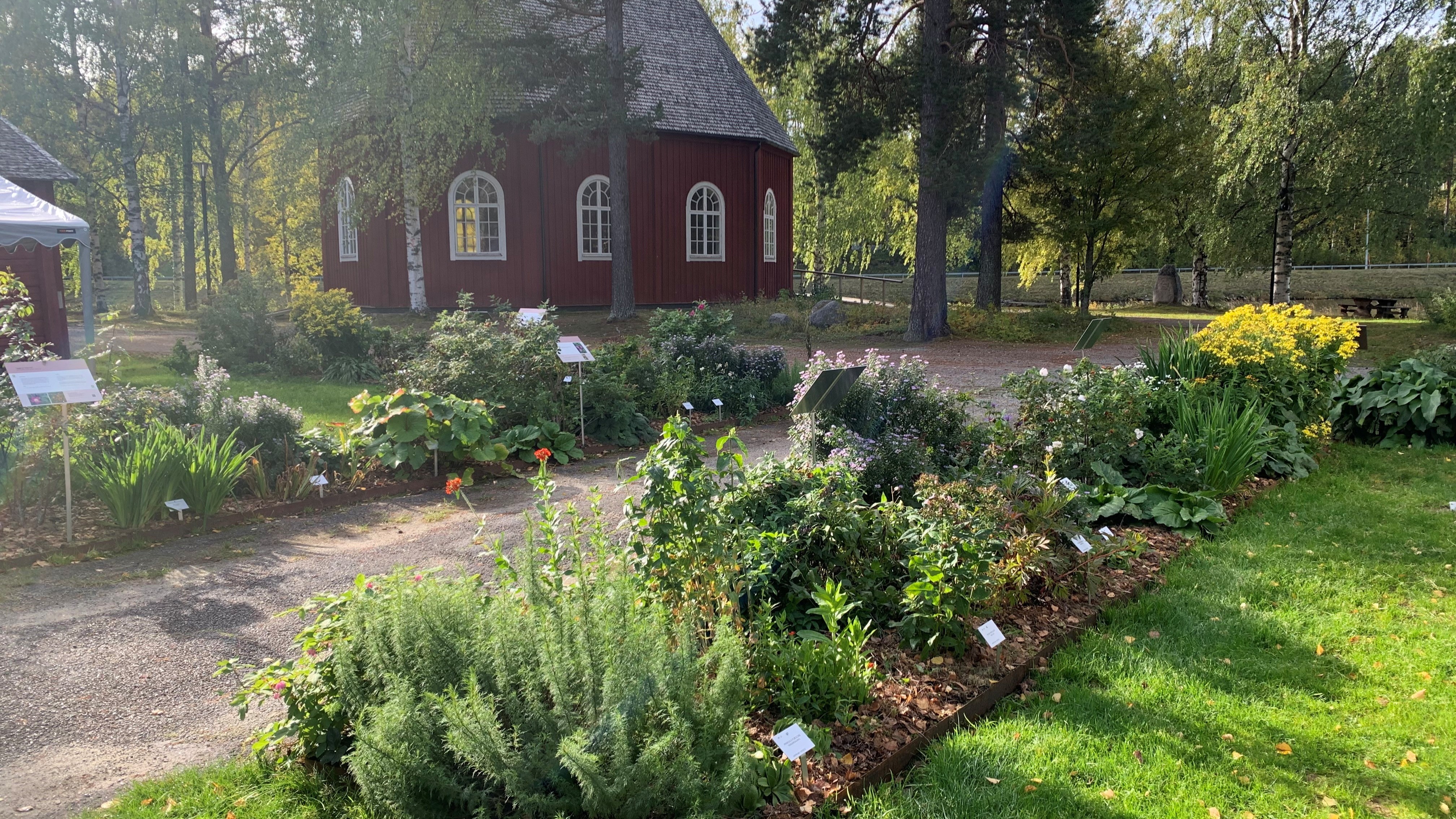Två stora rabatter med rosor och perenner på ömse sidor om en gång. I rabatten finns informationsskyltar som berättar om växterna. I bakgrunden syns en röd träkyrka. 