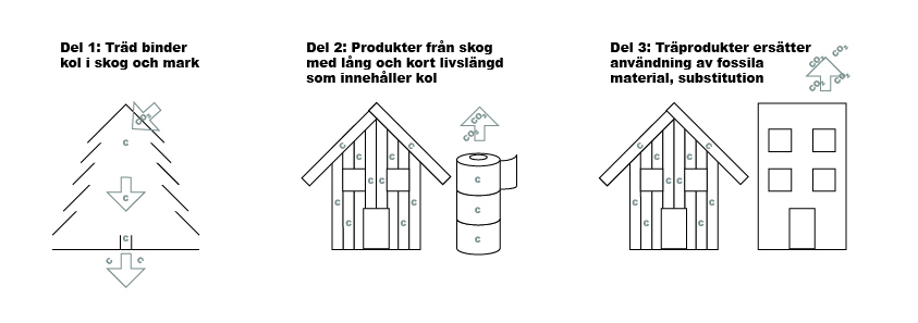 Tre enkla illustrationer av de olika delarna. Del 1 ett träd som binder kol. Del 2 ett trähus som binder kol en längre tidsperiod och toapapper som binder en kort tid. Del 3 ett trähus som lagrar kol och släpper ut mindre fossila mindre växthusgaser än dess motsvarighet, ett hus i betong.  