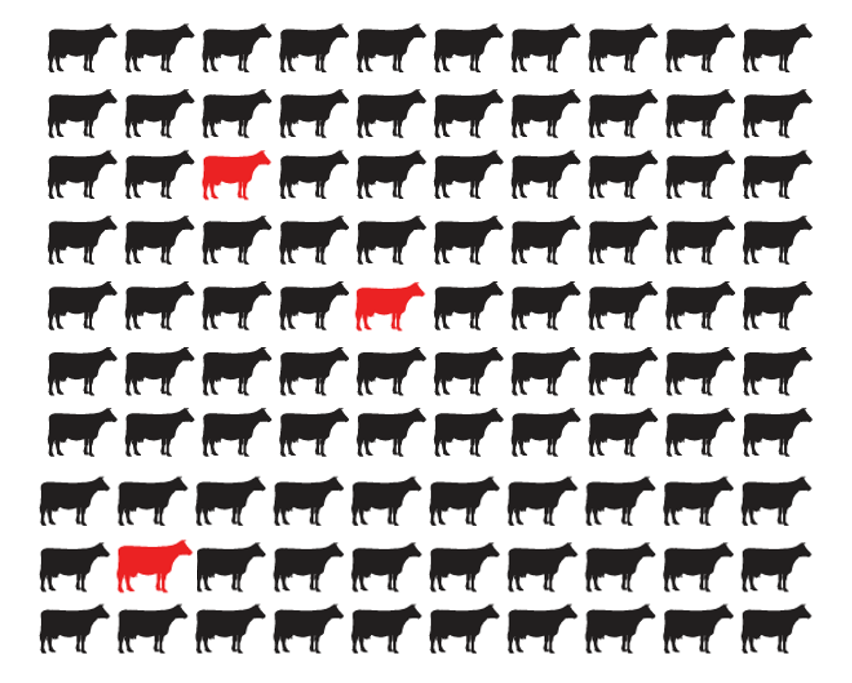 Identifiering av mönster och avvikelser inom populationer