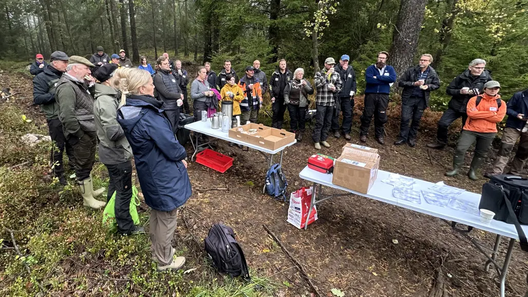 Grupp av människor i skogen