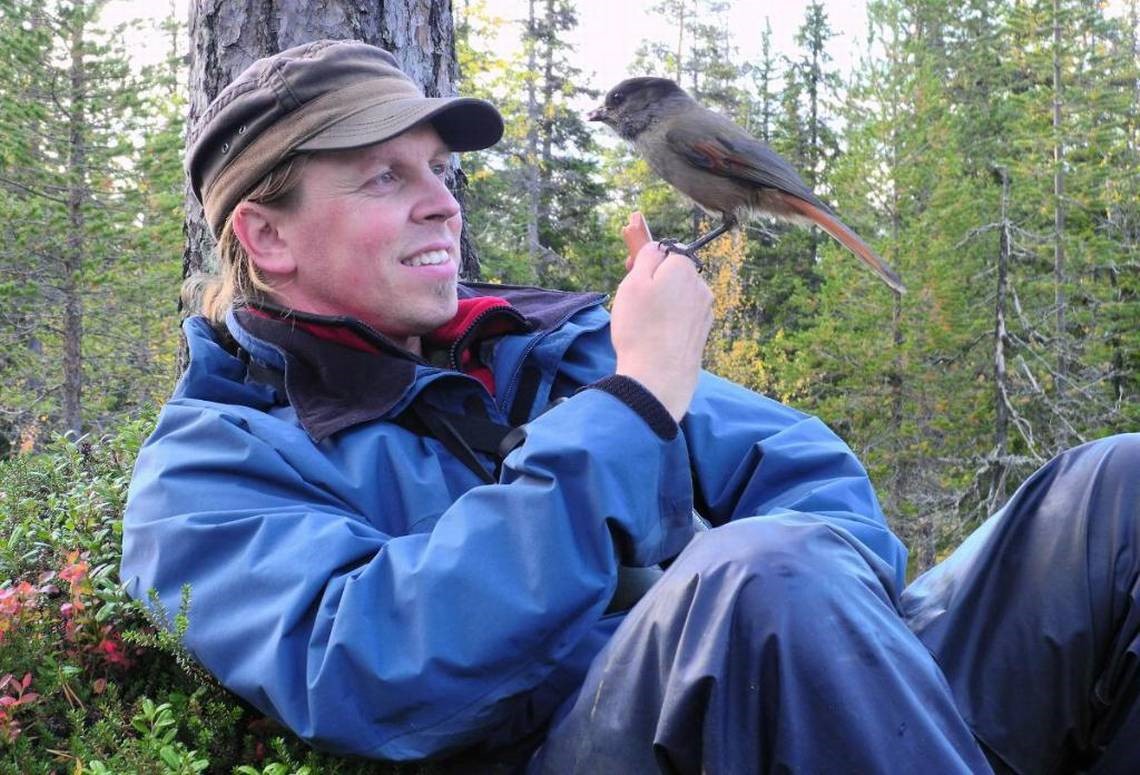 En man och en lavskrika