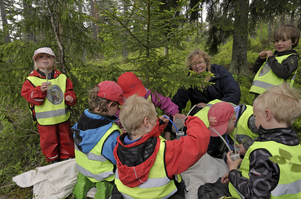 Barn och en vuxen vid en gran