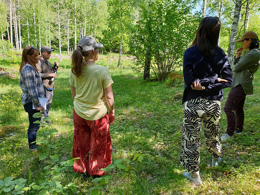 Five persons standing in sunlight in a clearing in a forest. Photo.