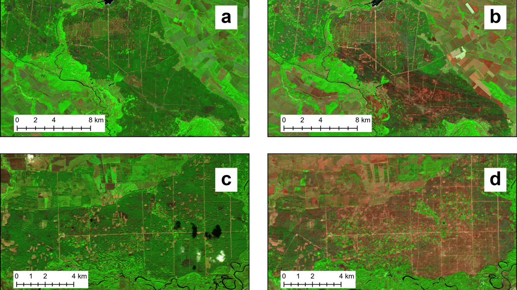 Satellite image om forest